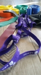 Trener personalny, instruktor fitness i biegania, Dietetyk s